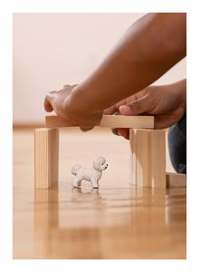 Schleich - Bichon Frise
