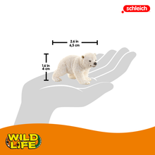 Schleich - Polar Bear Cub Walking