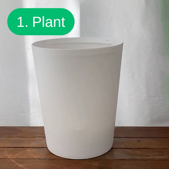 Boskke Skyplanter - Hanging Planters - 9cm, 12cm or 15cm House, Home & Garden