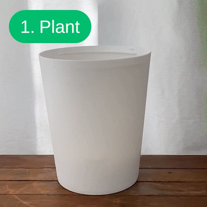 Boskke Skyplanter - Hanging Planters - 9cm, 12cm or 15cm House, Home & Garden