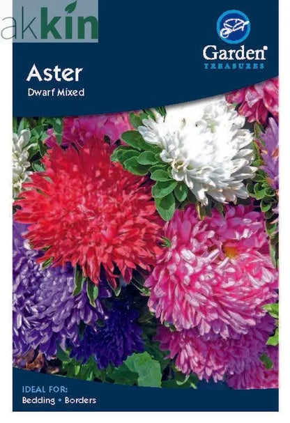 Aster Seeds One Click Plants