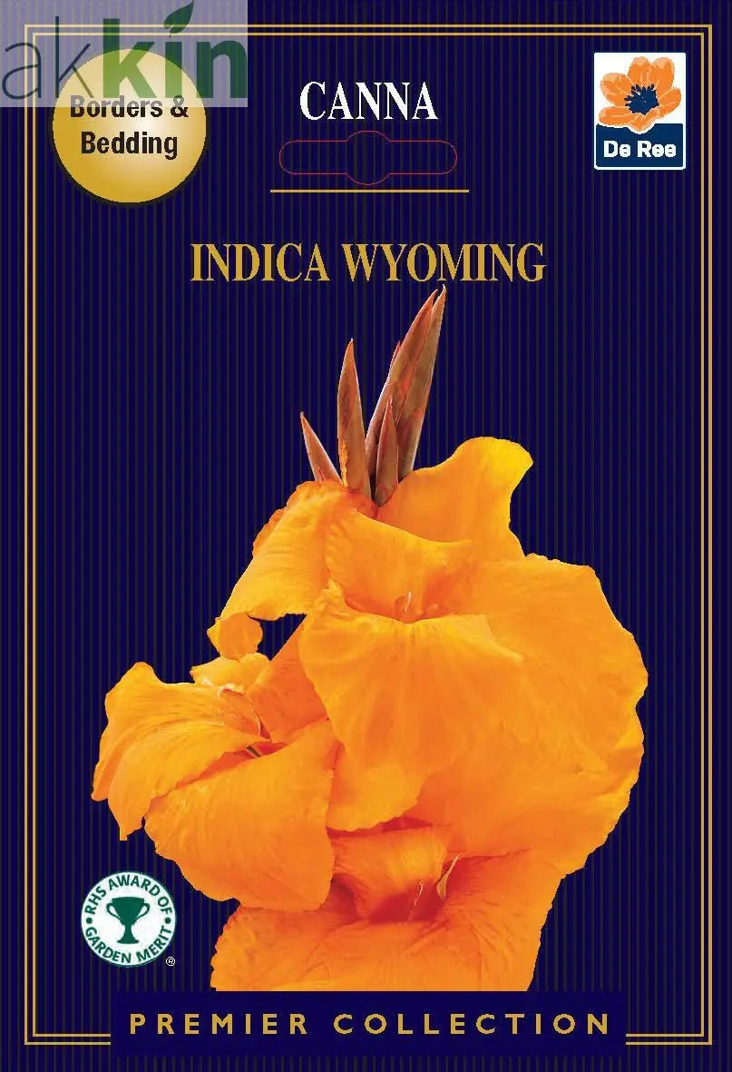 Canna Lily | Indica Wyoming | 1 Corm One Click Plants