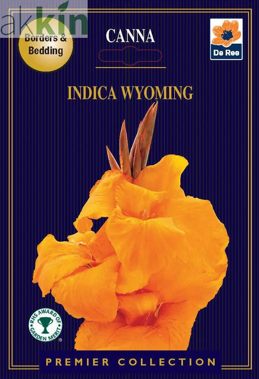 Canna Lily | Indica Wyoming | 1 Corm One Click Plants