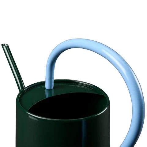 Collector Scalloped Indoor Watering Can - Heritage Green House, Home & Garden