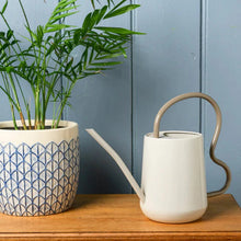 Collector Scalloped Indoor Watering Can - Mushroom House, Home & Garden