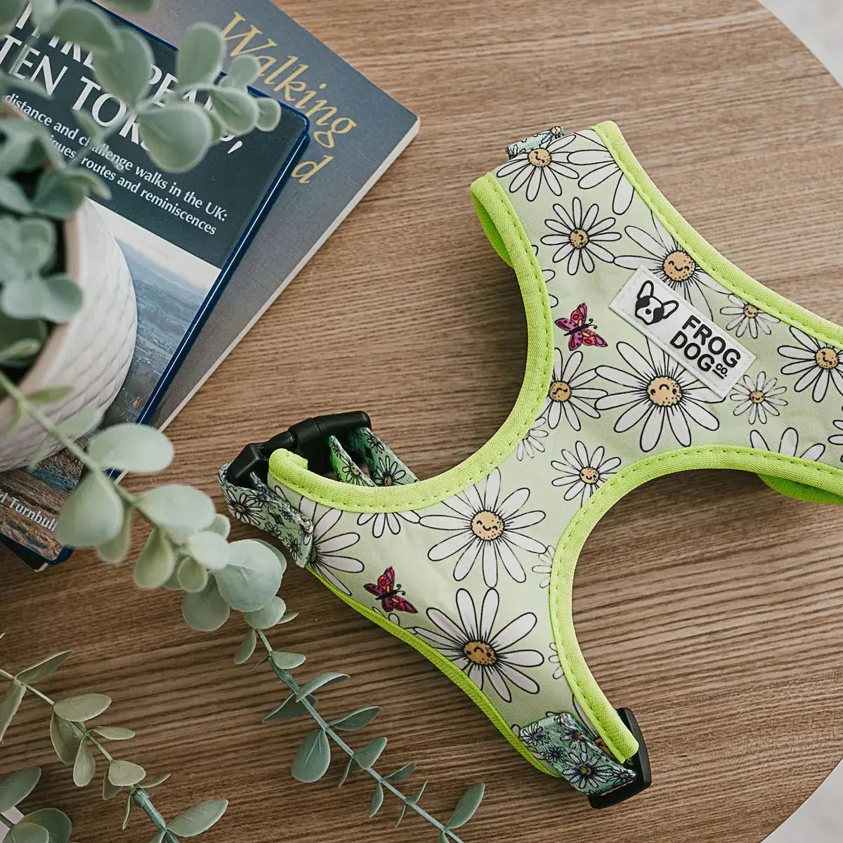 Comfy-Wear Adjustable Dog Harness - Bee Kind - MEDIUM Neck 38-48cm / Chest 46-64cm AK Kin Garden Supplies