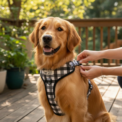 Comfy-Wear Adjustable Dog Harness -  Check Me Out - MEDIUM Neck 38-48cm / Chest 46-64cm
