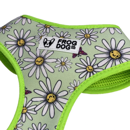 Comfy-Wear Adjustable Dog Harness - Daisy Days - MEDIUM Neck 38-48cm / Chest 46-64cm AK Kin Garden Supplies