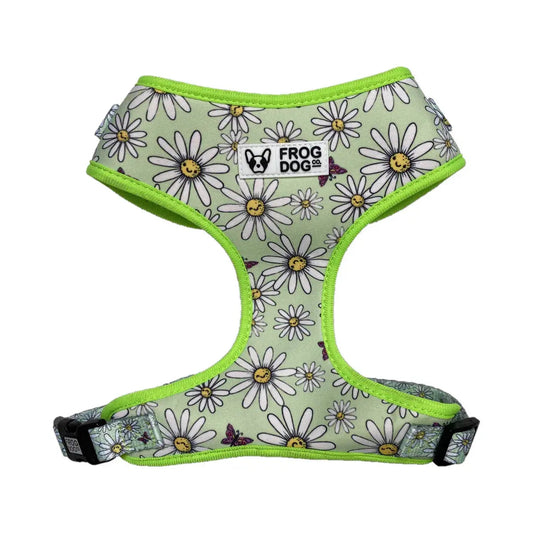 Comfy-Wear Adjustable Dog Harness - Daisy Days - MEDIUM Neck 38-48cm / Chest 46-64cm AK Kin Garden Supplies