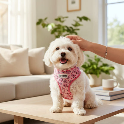 Comfy-Wear Adjustable Dog Harness - Piggy Passion -  Small - Neck 34-42cm / Chest 39-56cm