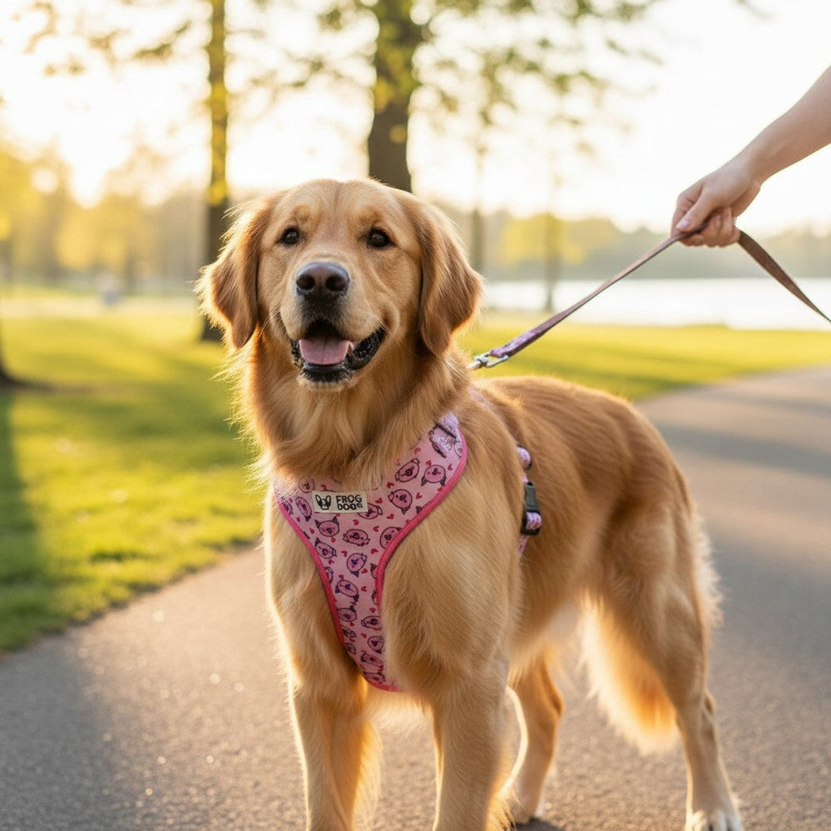 Comfy-Wear Adjustable Dog Harness - Piggy Passion - Large - Neck 44-56cm / Chest 54-78cm
