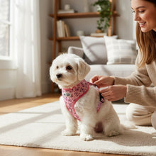 Comfy-Wear Adjustable Dog Harness - Piggy Passion - Extra Small - Neck 26-36cm / Chest 34-46cm