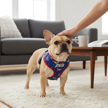 Comfy-Wear Adjustable Dog Harness - Zoomies Extra Small - Neck 26-36cm / Chest 34-46cm