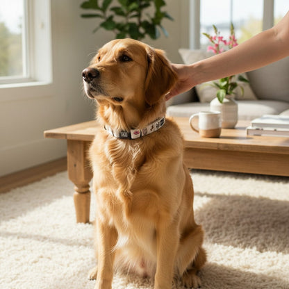 Comfy-Wear Dog Collar - Puppaccino Medium 2.0cm width / 32-50cm Neck