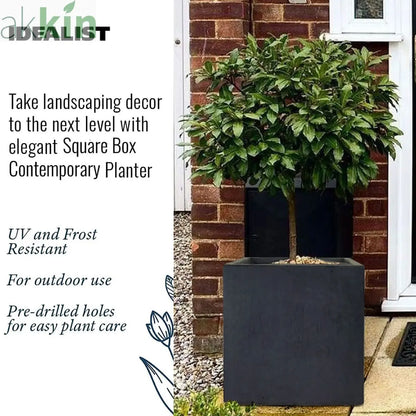 IDEALIST Lite Contemporary Flower Box Square Garden Planter, Faux Lead Light Concrete Outdoor Large Plant Pot H50 L50 W50 cm, 126L One Click Plants