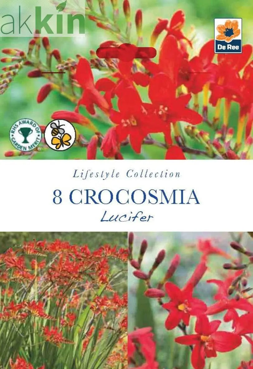 Crocosmia | Lucifer | 8 Bulbs One Click Plants