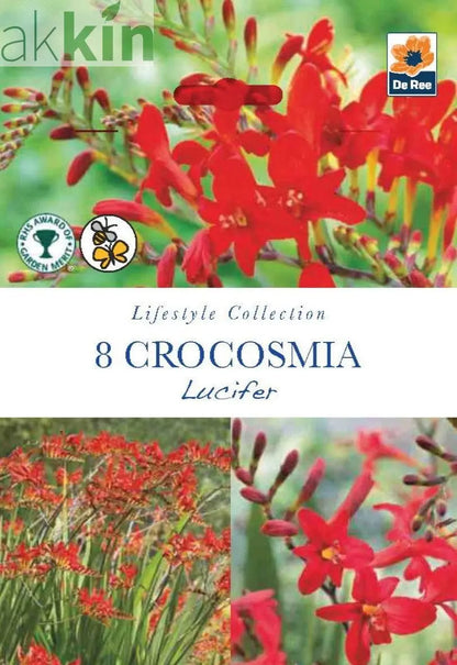 Crocosmia | Lucifer | 8 Bulbs One Click Plants