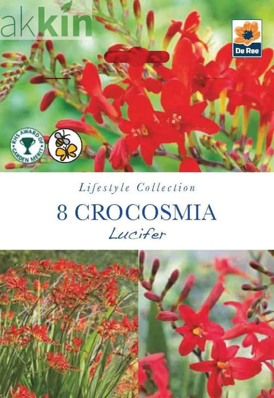 Crocosmia | Lucifer | 8 Bulbs One Click Plants