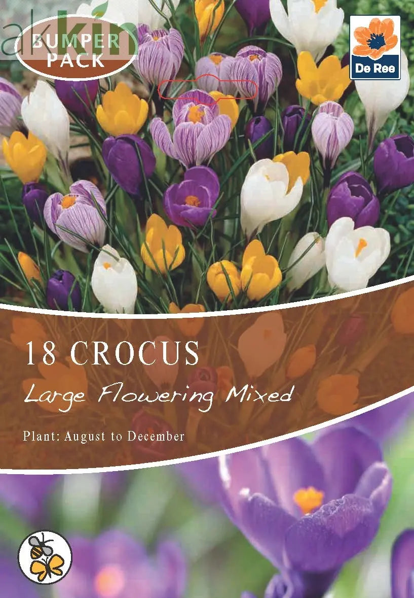 Crocus Large Flowering Mixed (15 Bulbs) One Click Plants