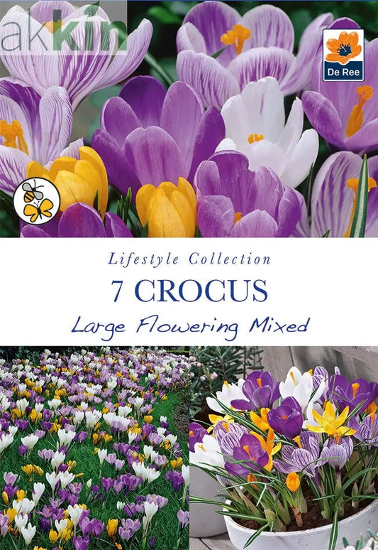 Crocus Large Flowering Mixed (7 Bulbs) One Click Plants