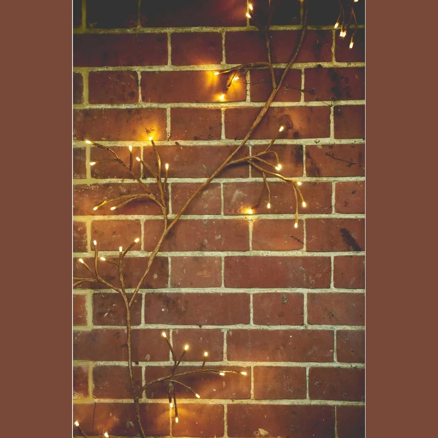 Solar Wall Ivy Brown With 96 Warm White LEDs Dual Powered For Outdoor And Indoor Use 12 Branches 2.5 Meter Length