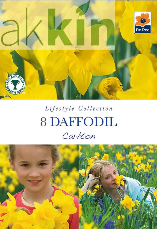 Daffodil 'Carlton' (7 Bulbs) One Click Plants