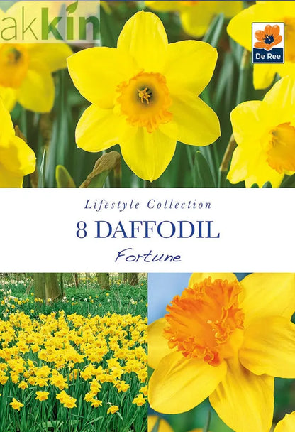 Daffodil 'Fortune' (6 Bulbs) One Click Plants