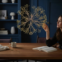 Decorative Hanging Dandelion 60cm Indoor Lighting House, Home & Garden