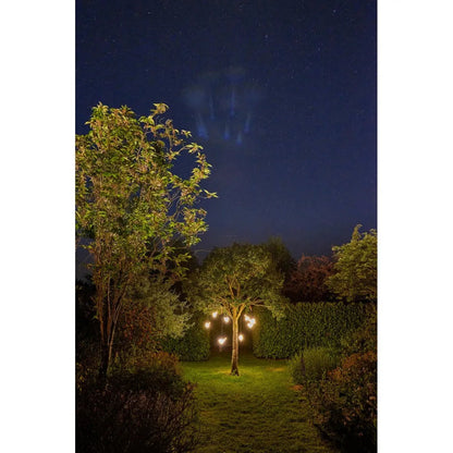 Decorative Hanging Robin Light (Brown) House, Home & Garden