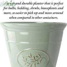 Decorative Olive Plant Pot 40cm Green Round Plastic Planter for Indoor & Outdoor Use - AK Kin Garden Supplies