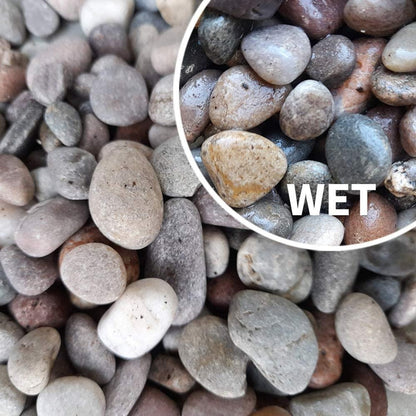 Decorative Scottish Beach Pebbles 20-14mm 25kg AK Kin Garden Supplies