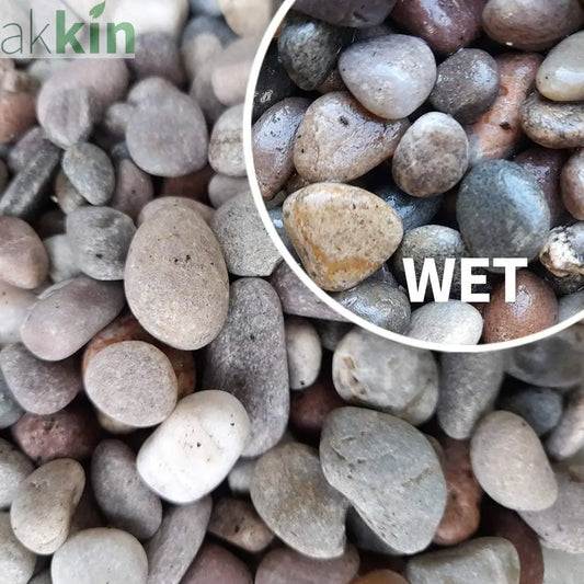Decorative Scottish Beach Pebbles 20-14mm 25kg AK Kin Garden Supplies