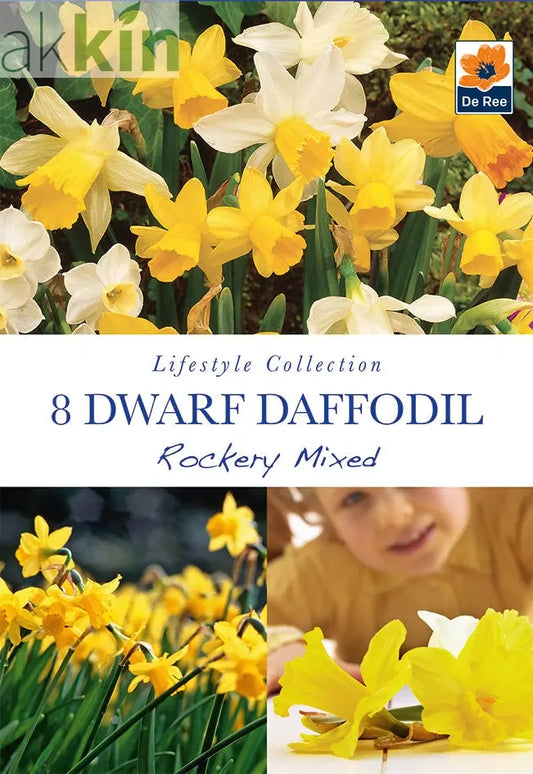 Dwarf Daffodil 'Rockery Mixed'(8 Bulbs) One Click Plants
