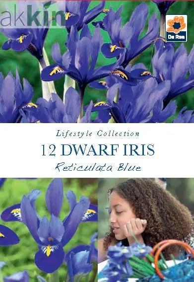 Dwarf Iris 'Reticulata Blue' (8 Bulbs) One Click Plants