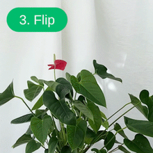 Boskke Skyplanter - Hanging Planters - 9cm, 12cm or 15cm House, Home & Garden