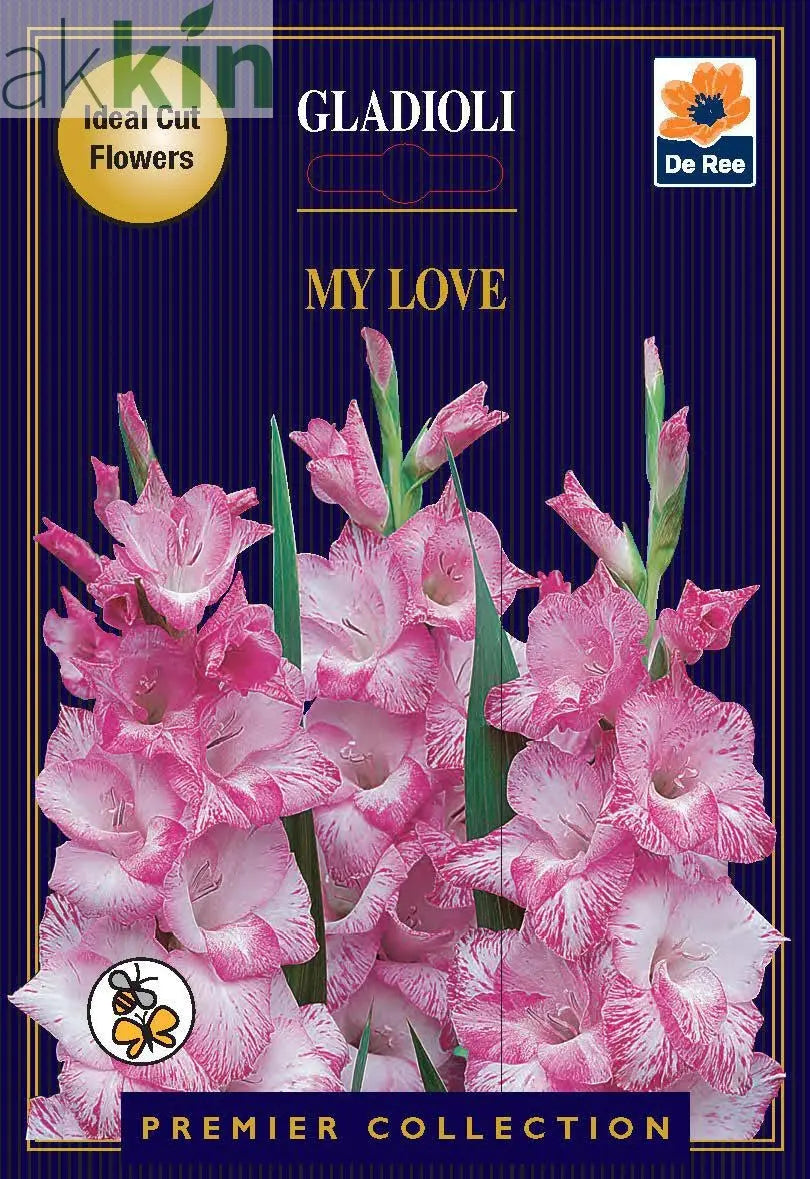 Gladioli Bulbs | My Love | 10 Bulbs One Click Plants