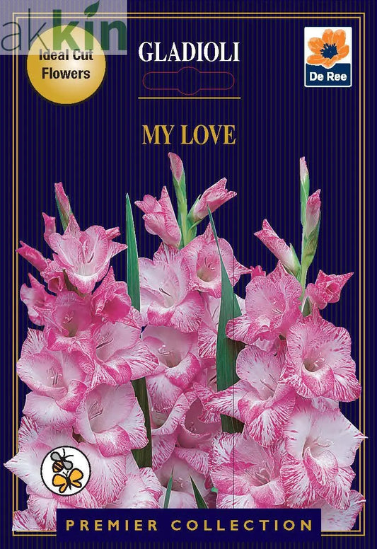 Gladioli Bulbs | My Love | 10 Bulbs One Click Plants