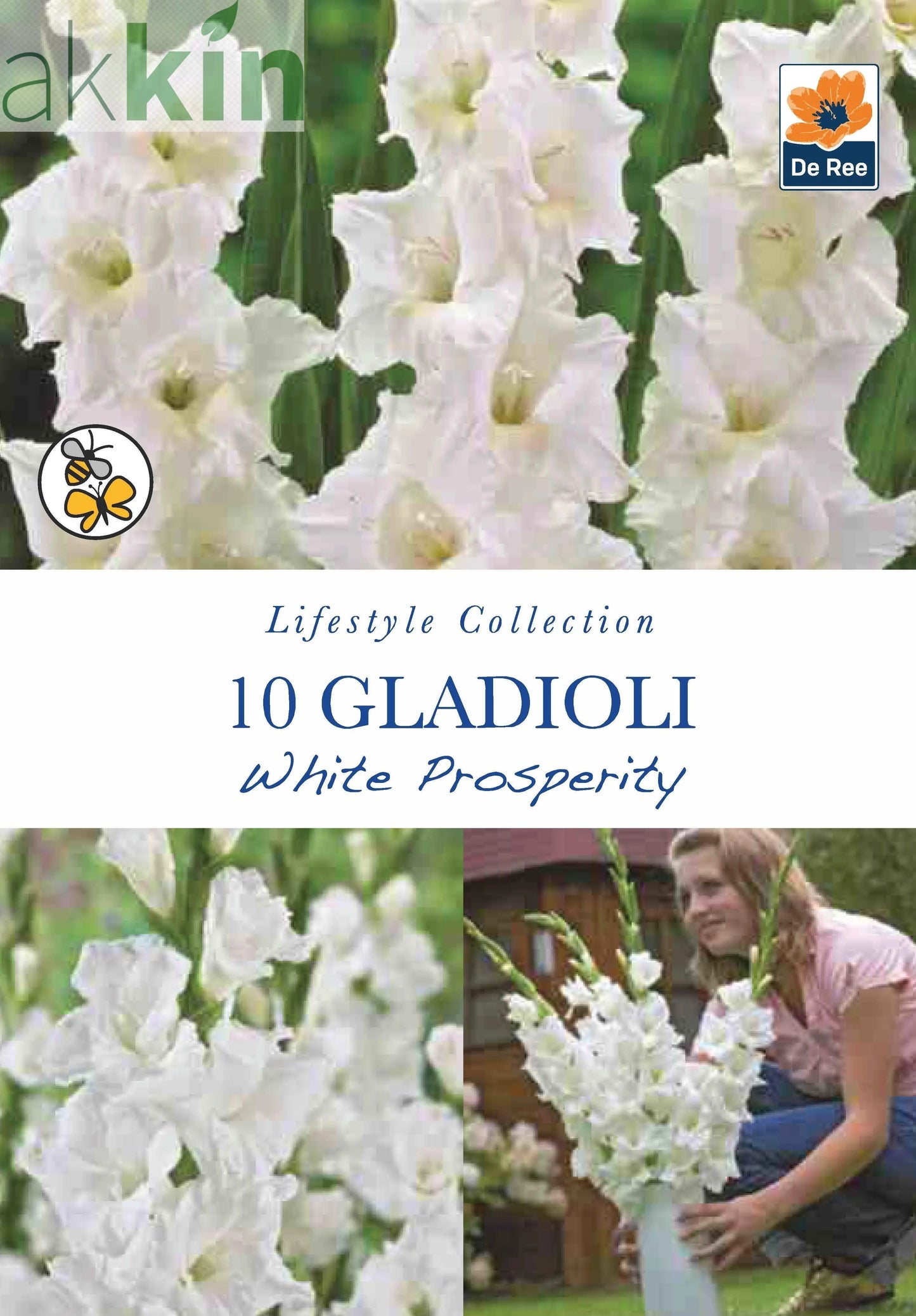 Gladioli Bulbs | White Prosperity | 10 Bulbs One Click Plants