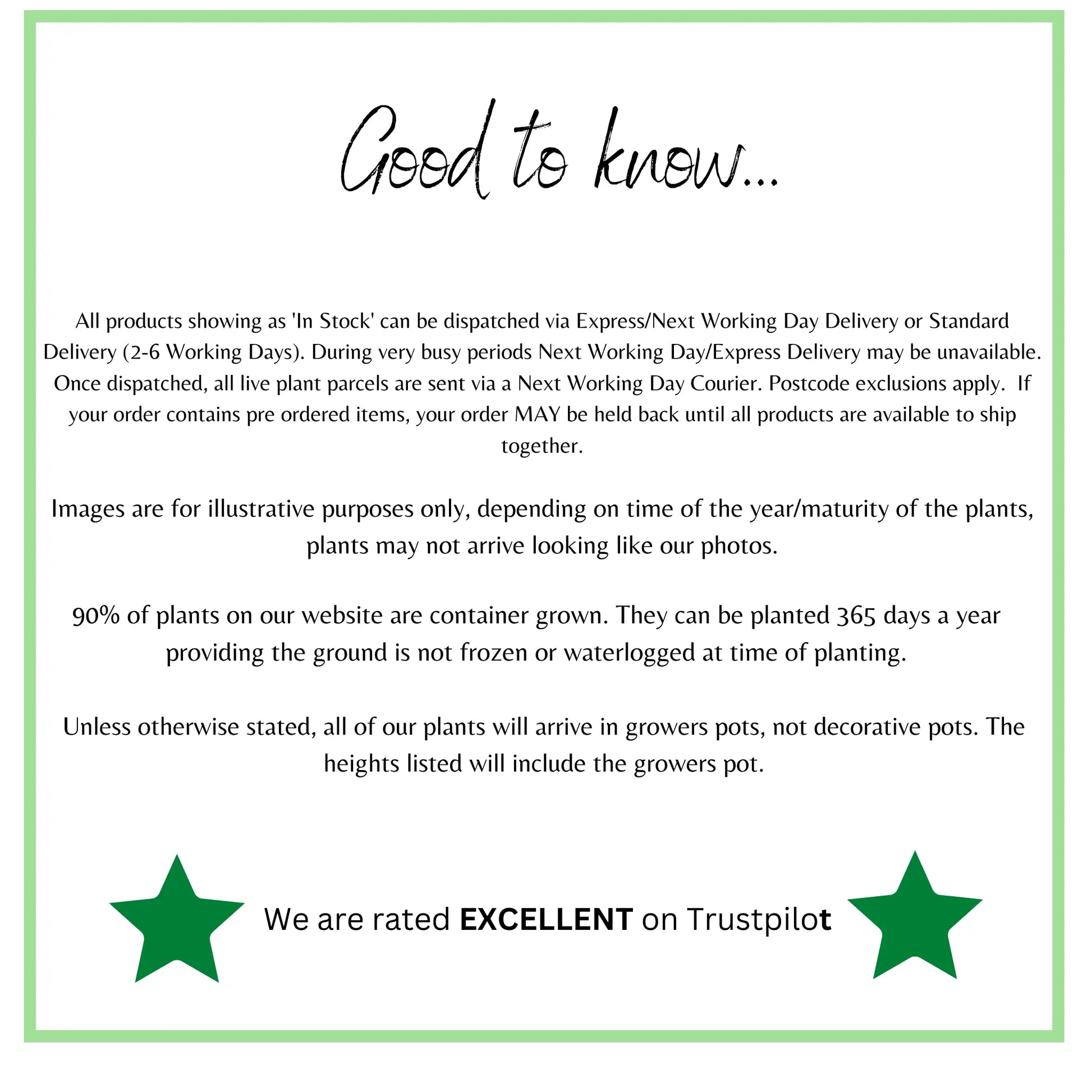 Heuchera 'Blondie' 2L One Click Plants