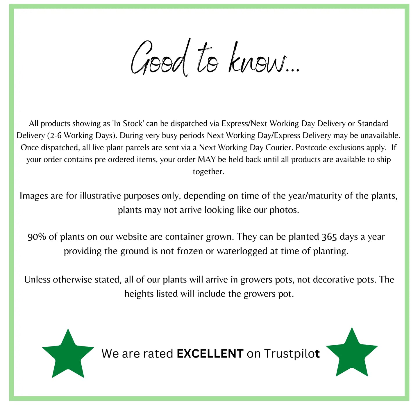 Heuchera 'Ruby Bells' 9cm/2L Growers Pot One Click Plants