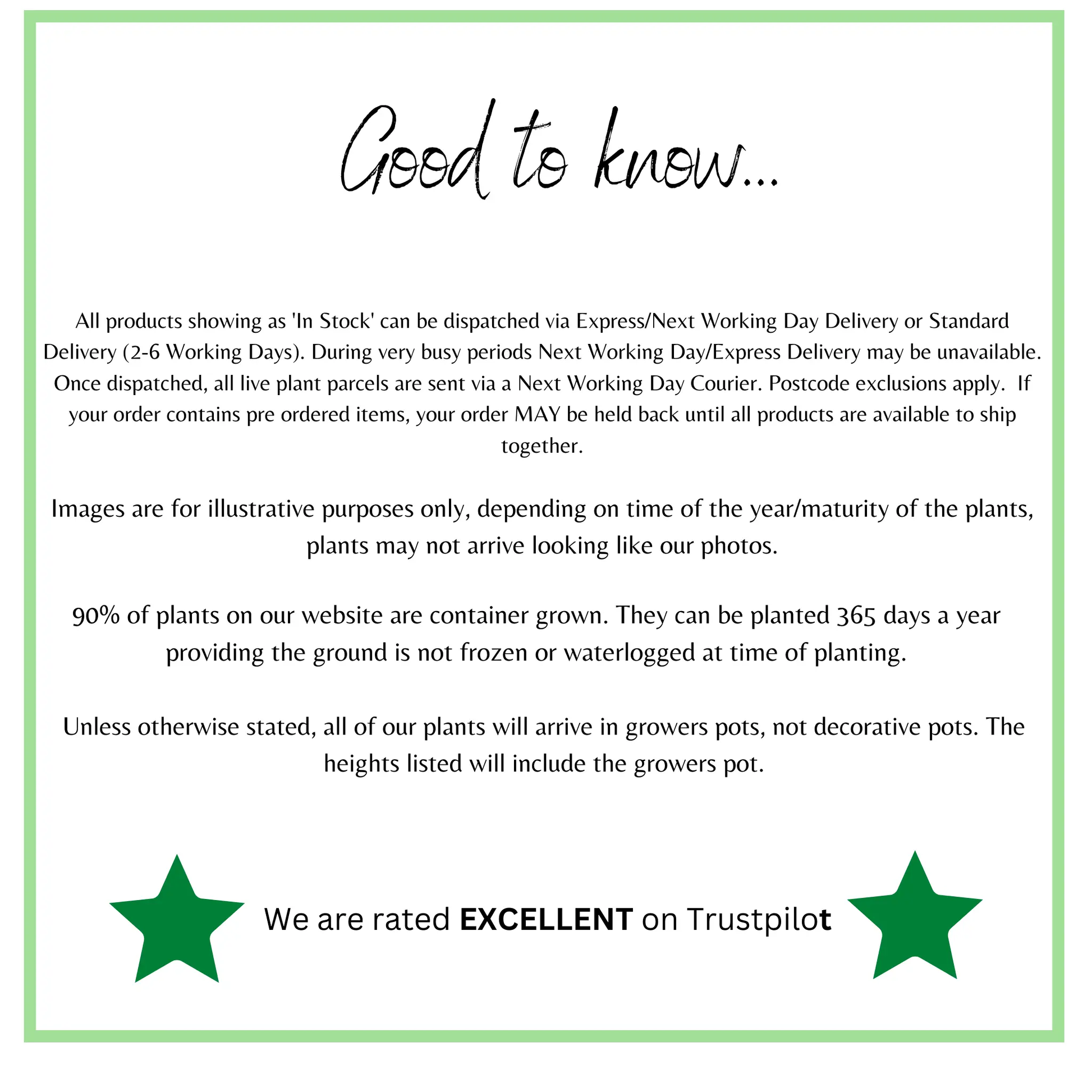 Heuchera ameicana Marvellous Marble 9cm One Click Plants