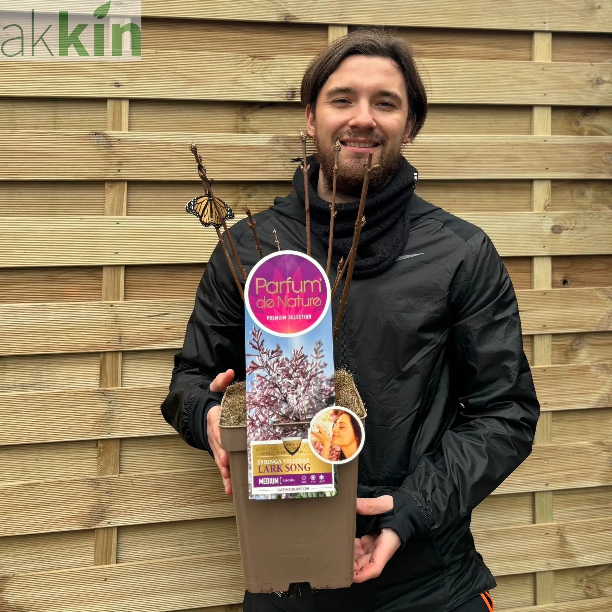 Syringa villosae  'Larksong' 4L One Click Plants