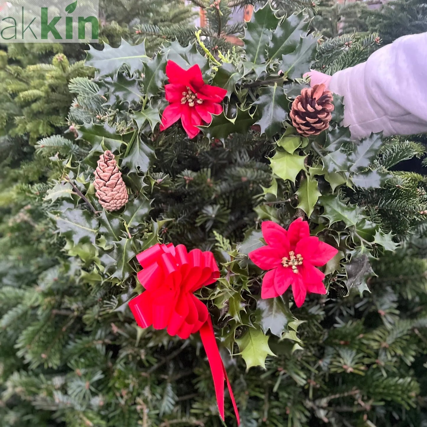 Real Holly Wreath | Hand Made Wreath (30cm) One Click Plants