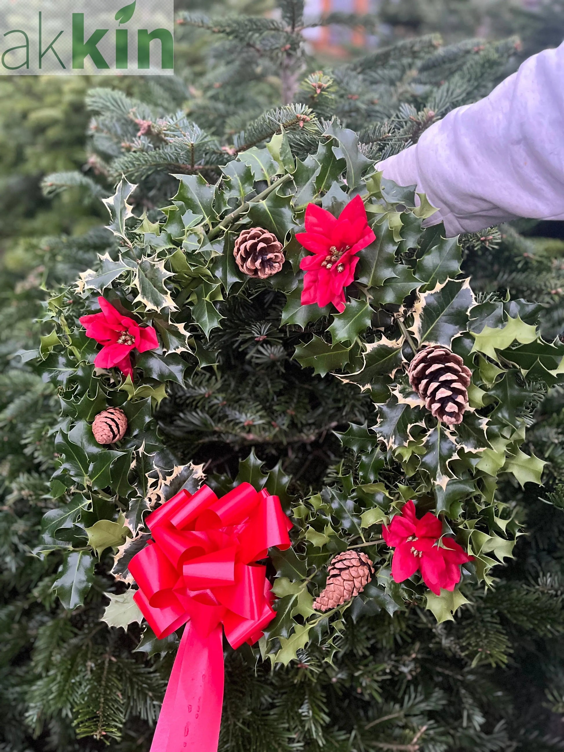 Real Holly Wreath | Hand Made Wreath (45cm) One Click Plants
