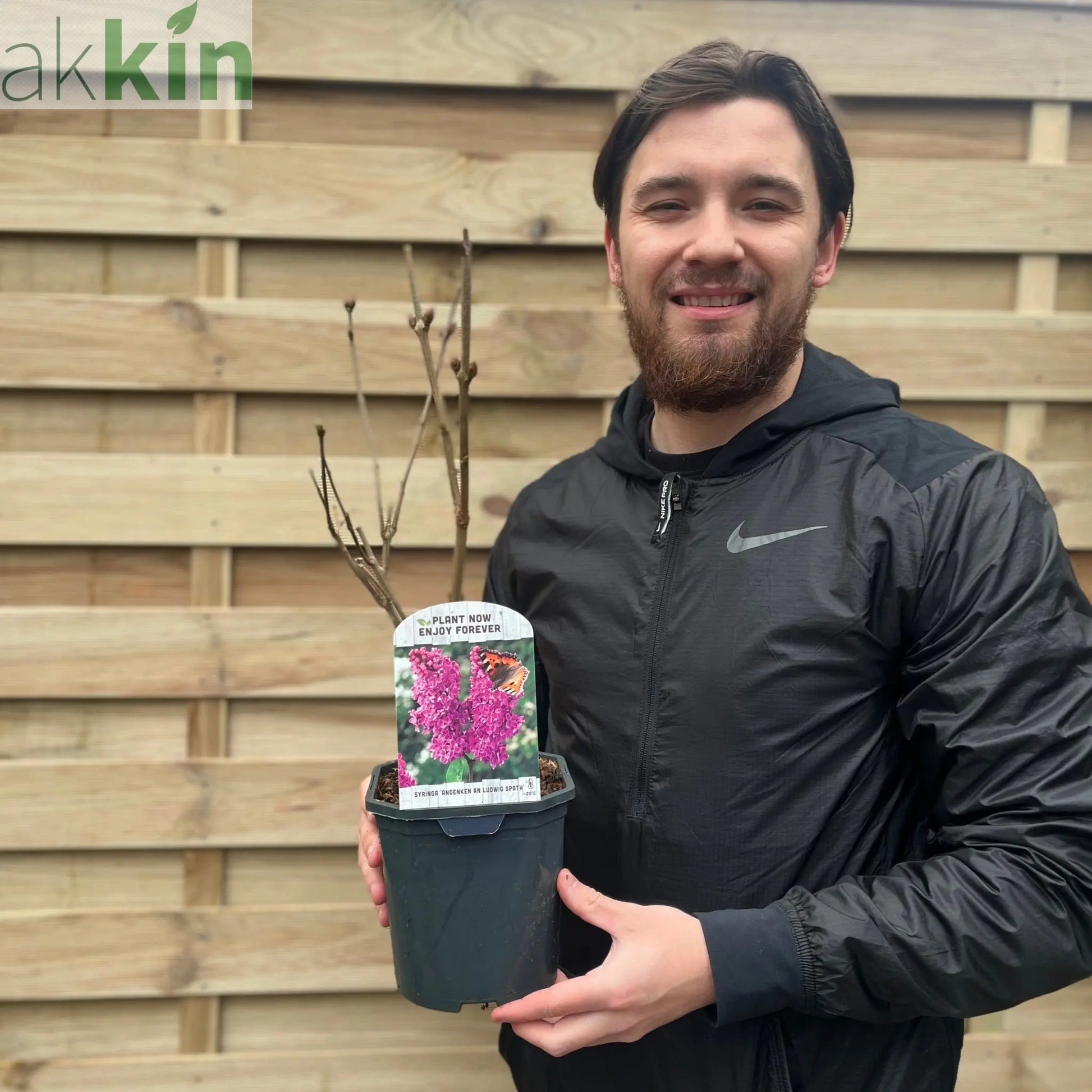 Syringa vulgaris 'Andenken an Ludwig Spath' 2L One Click Plants