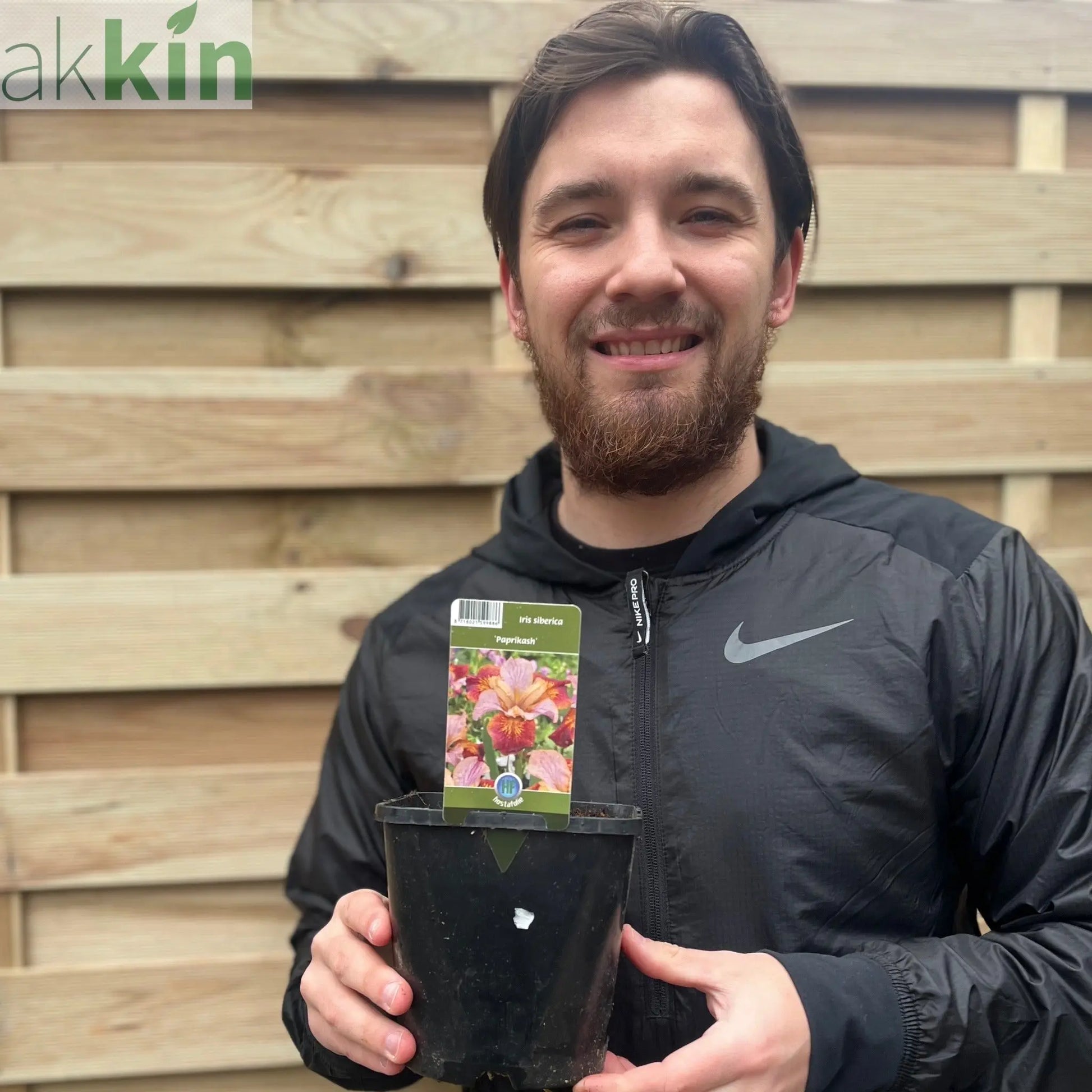 Iris sibirica 'Paprikash' 2L One Click Plants