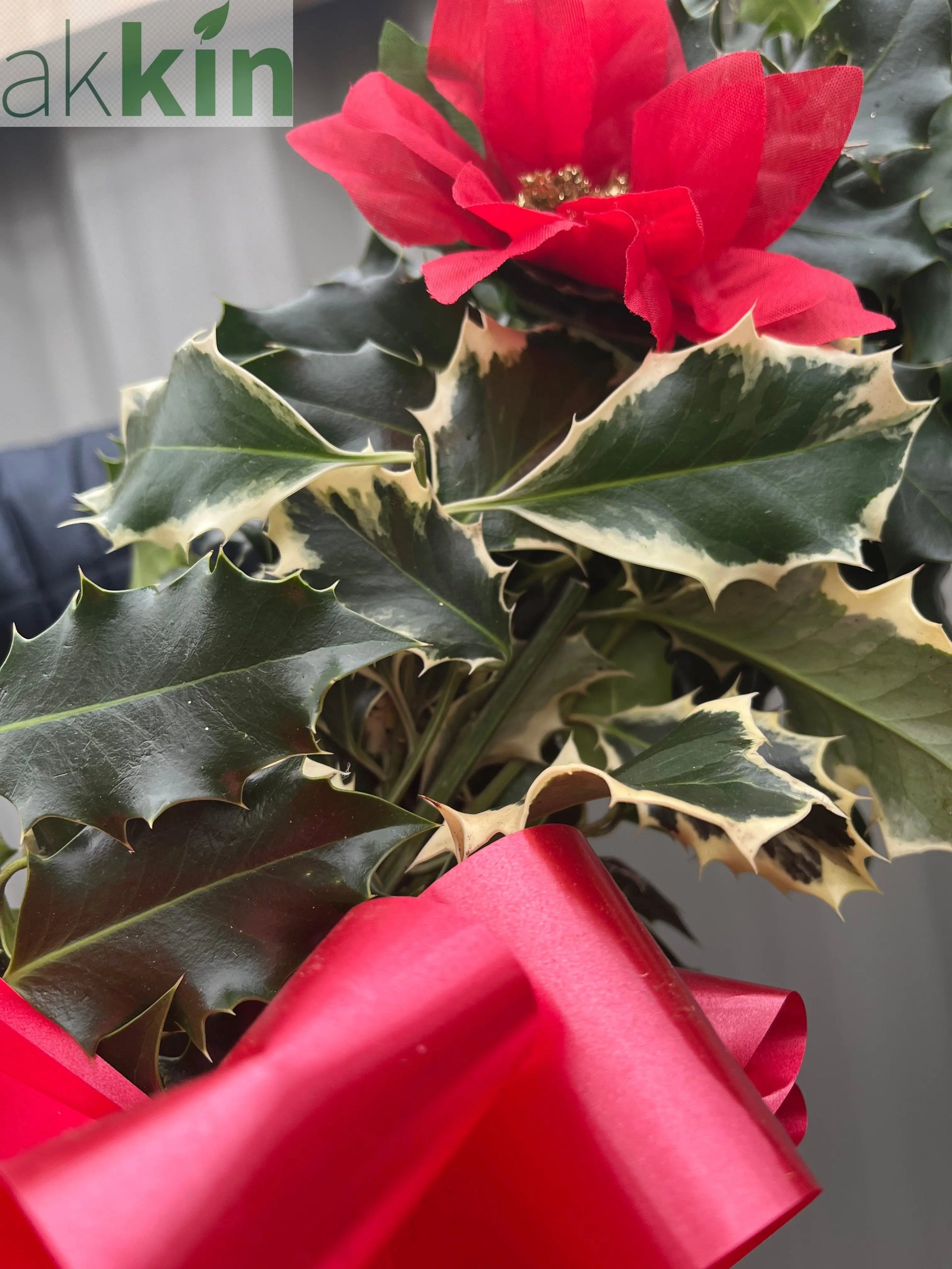 Real Holly Wreath | Hand Made Wreath (45cm) One Click Plants