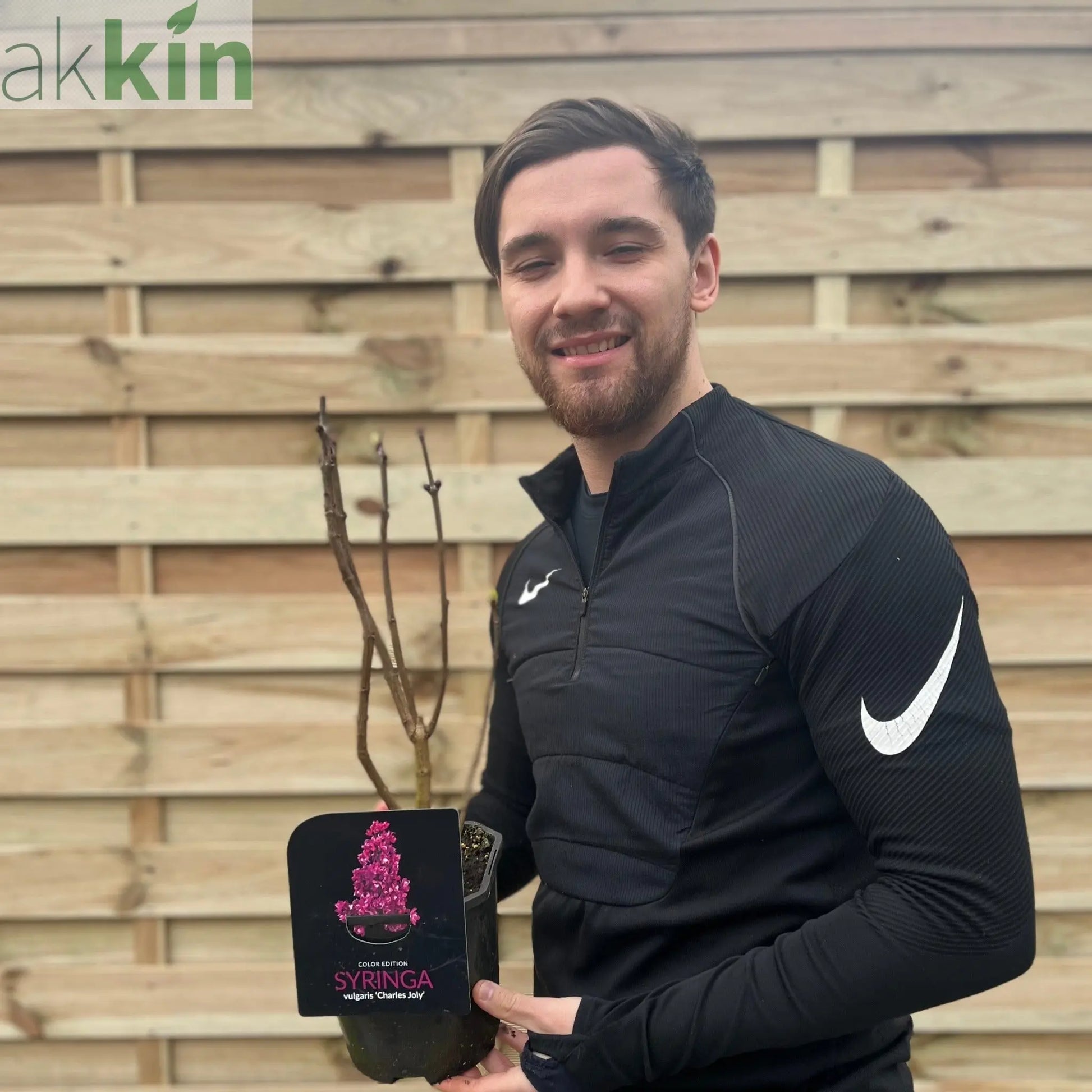 Syringa vulgaris 'Charles Joly' (Lilac) 2L One Click Plants