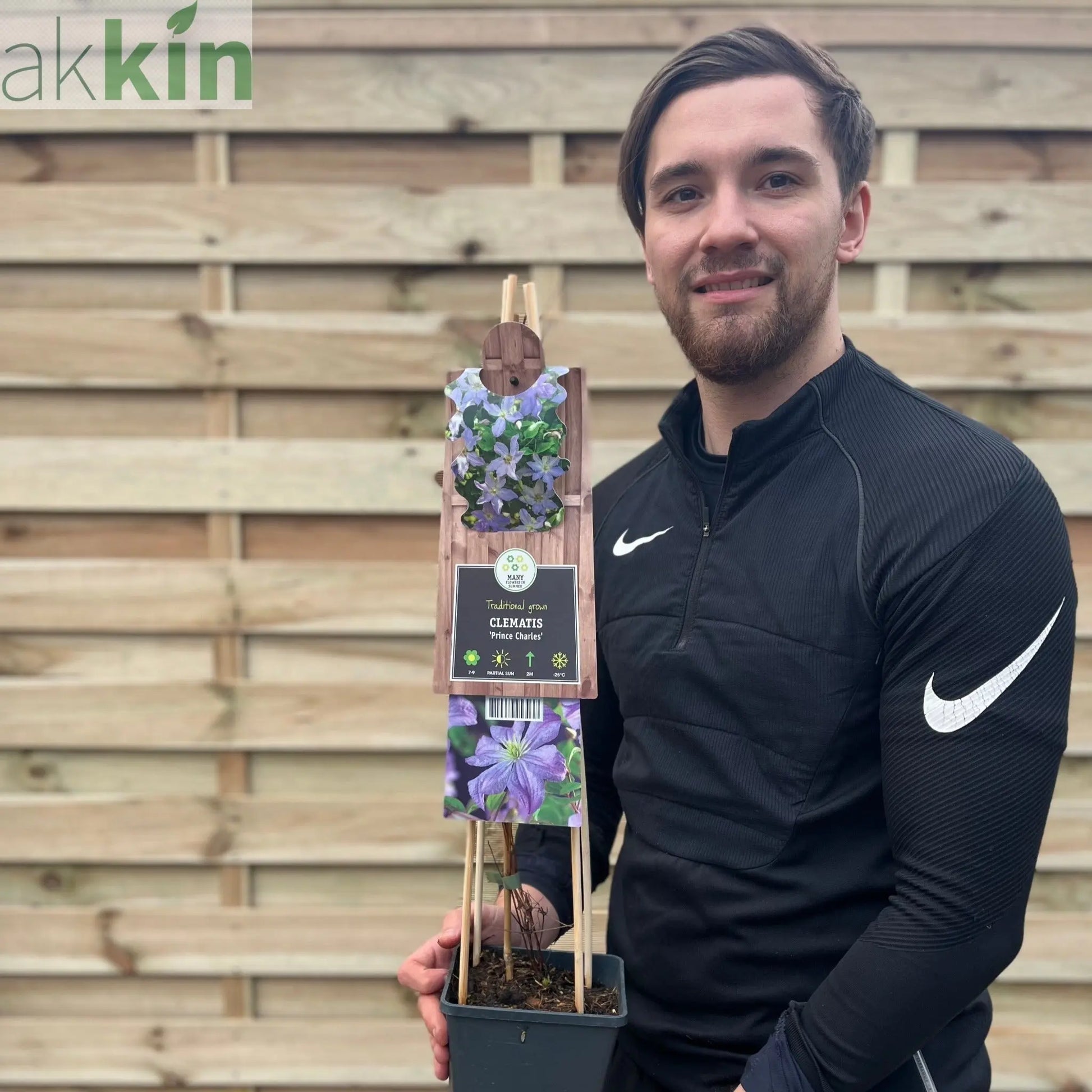 Clematis 'Prince Charles' 75cm One Click Plants