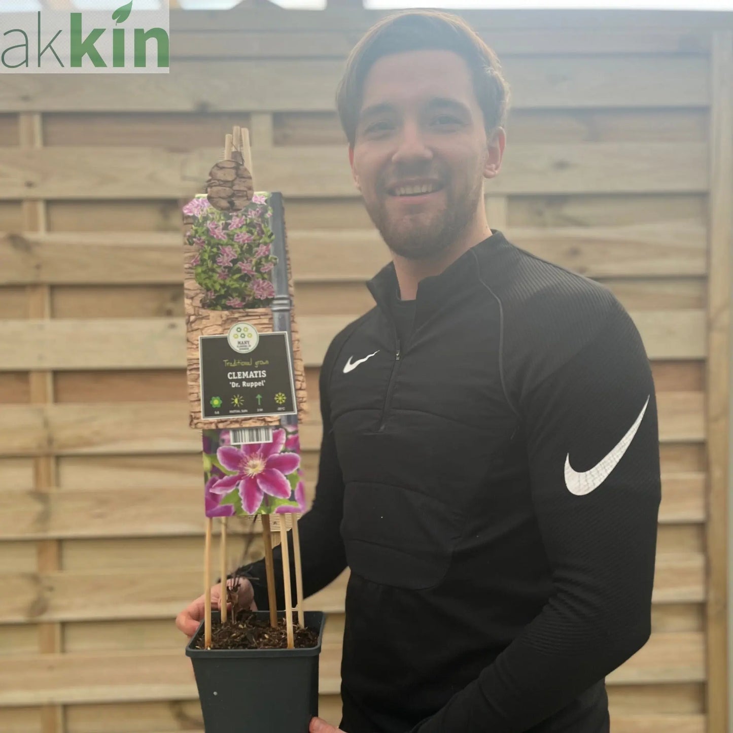 Clematis 'Doctor Ruppel' 70cm One Click Plants